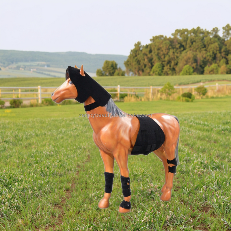 Horse Red Light Therapy Device Manufacturer - Portable Phototherapy Near Infrared for Hock Hoof & Pain Relief