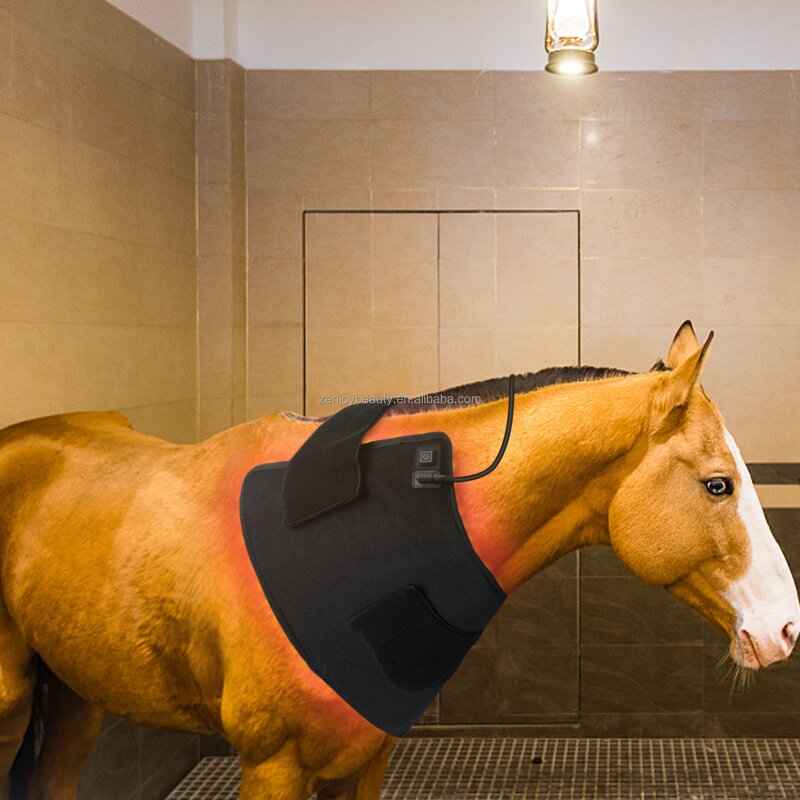 Infrared Light Therapy Mat Manufacturer - OEM ODM 660nm 850nm Red LED Heating Pad for Horse Neck Belly