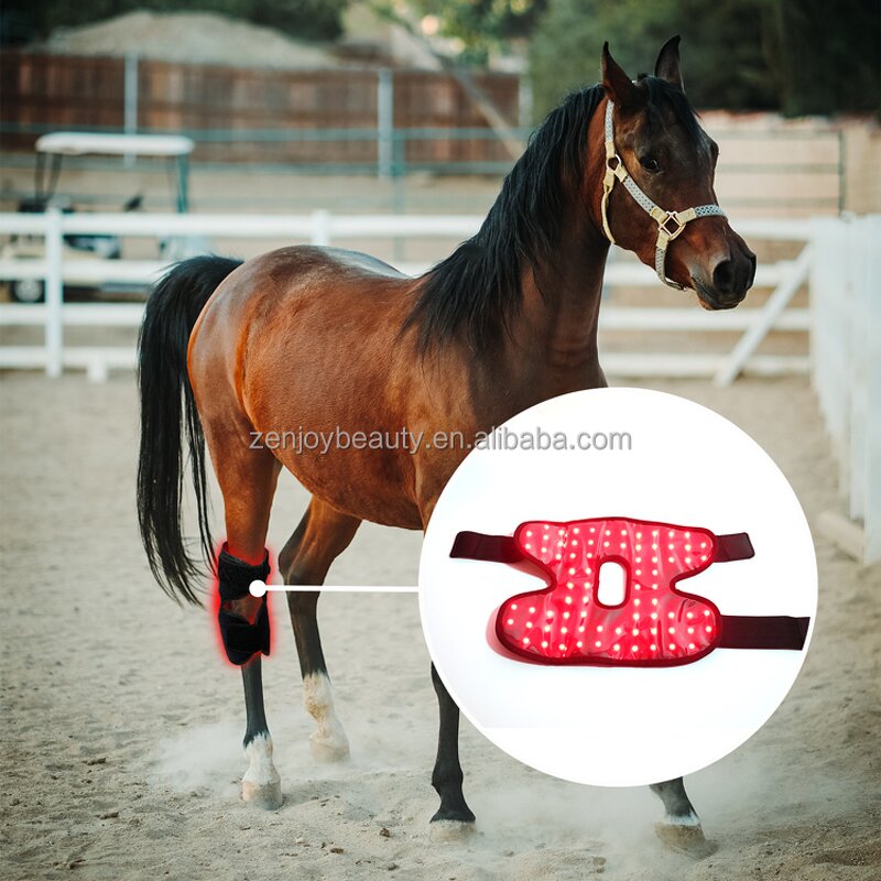 Horse Red Light Therapy Wrap Manufacturer - 660nm 850nm Hock Built in Battery for Equine Pain Relief Lap
