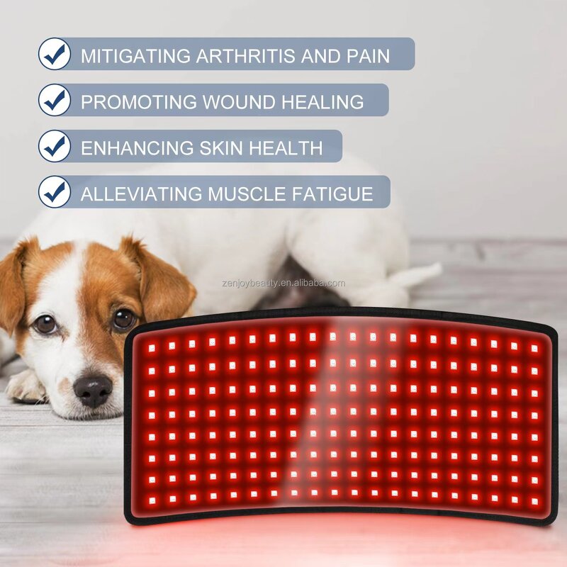 Horse Red Light Therapy Mat Manufacturer - 2025 Built-in Battery Wireless Pad for Back Health & Veterinary Clinic
