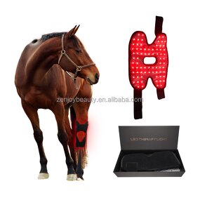 Knee Therapy Wrap Manufacturer - Customizable 3-in-1 Rechargeable for Horse Pet 660nm 850nm Infrared Equine Hock Physiotherapy