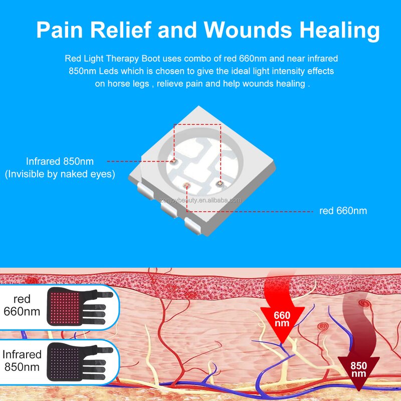 Equine Infrared Red Light Therapy Wrap Manufacturer - 2025 Battery-Powered Wearable 660nm 850nm for Hock Leg Pain Relief