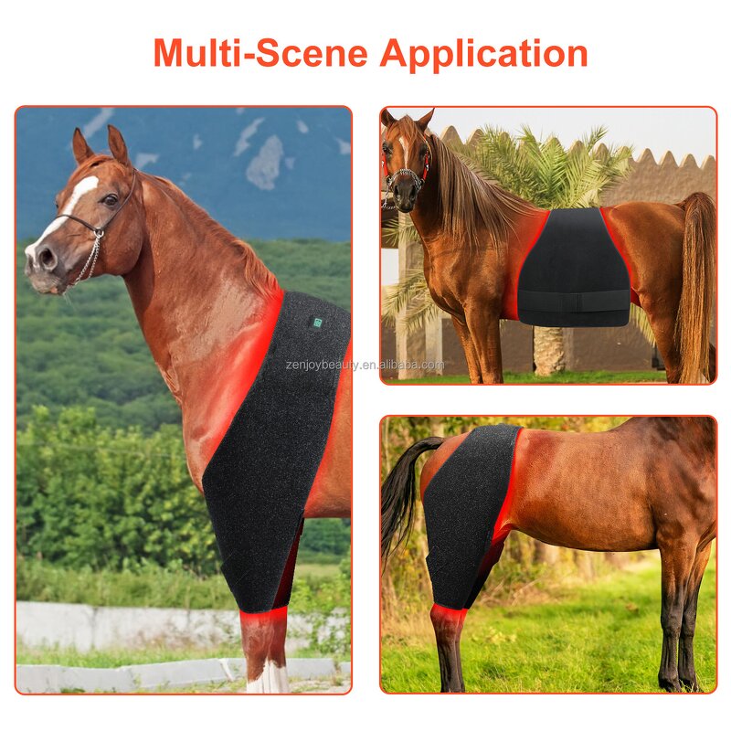 Red Light Infrared Pet Therapy Pad Manufacturer - New Design LED for Belly Back Equine Pain Relief Horse Care