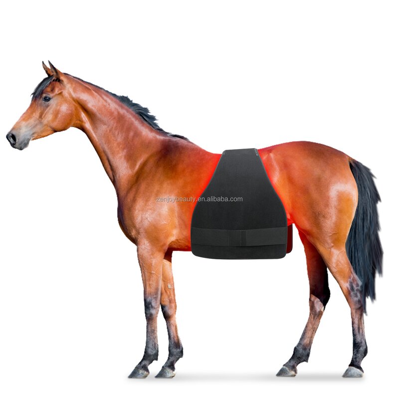 Red Light Infrared Pet Therapy Pad Manufacturer - New Design LED for Belly Back Equine Pain Relief Horse Care