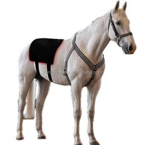 Horseback Red Light Therapy Pad Manufacturer - 2025 Portable Built-In Battery Wrap Belt 660nm 850nm for Pain Relief