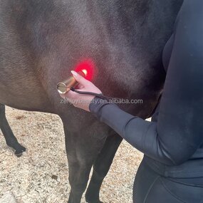 Red Light Therapy Pen Manufacturer - Customized OEM 5 Wavelength Near Infrared for Pain Relief Vet Therapy for Horse