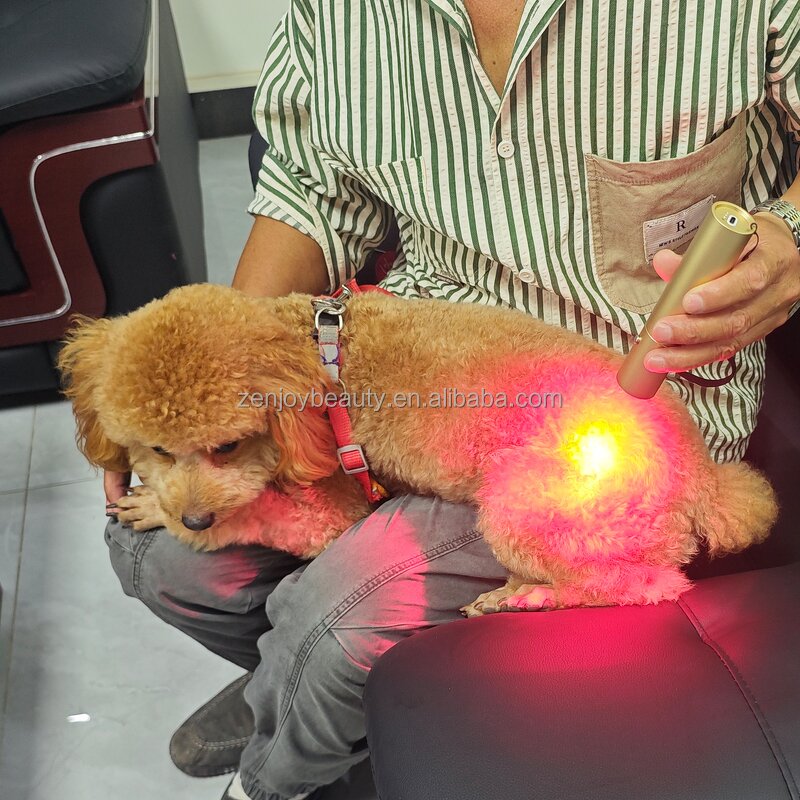 Red Light Therapy Pen Manufacturer - Customized OEM 5 Wavelength Infrared for Dog Pet Horse Pain Relief