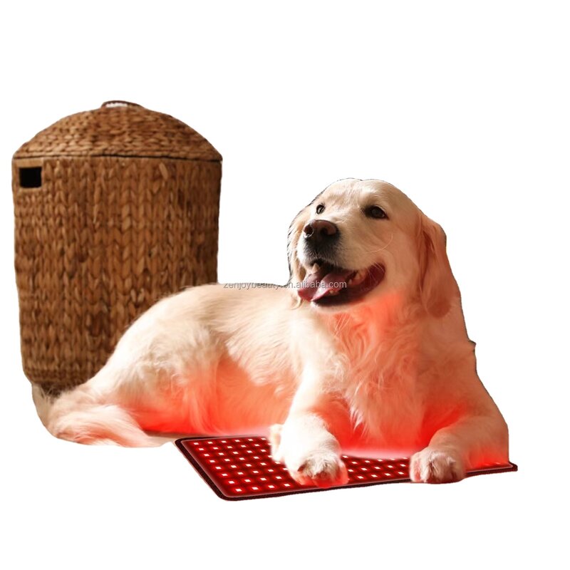 Equine Red Light Therapy Belt Manufacturer - 2025 Built-in Battery Wireless Mat 660nm 850nm for Dogs Cats Horse