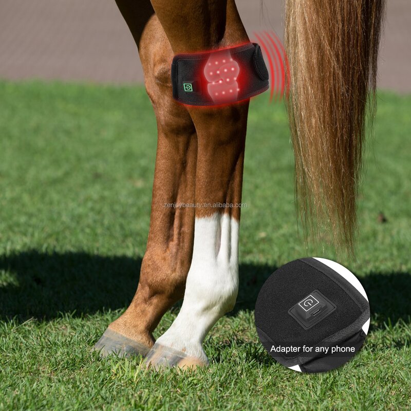 Horse Tendon Boots Manufacturer - 2025 Built-In Battery 660nm 850nm Therapy Hot Leg Infrared Wraps for Hock