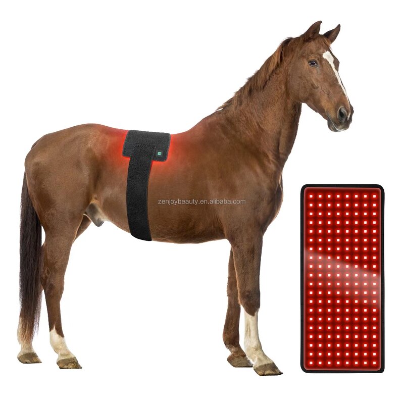 Veterinary Instrument Manufacturer - 2025 Built in Battery for Equine Soft Tissue Injury Repair Red Light Therapy