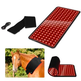 Veterinary Instrument Manufacturer - 2025 Built in Battery for Equine Soft Tissue Injury Repair Red Light Therapy
