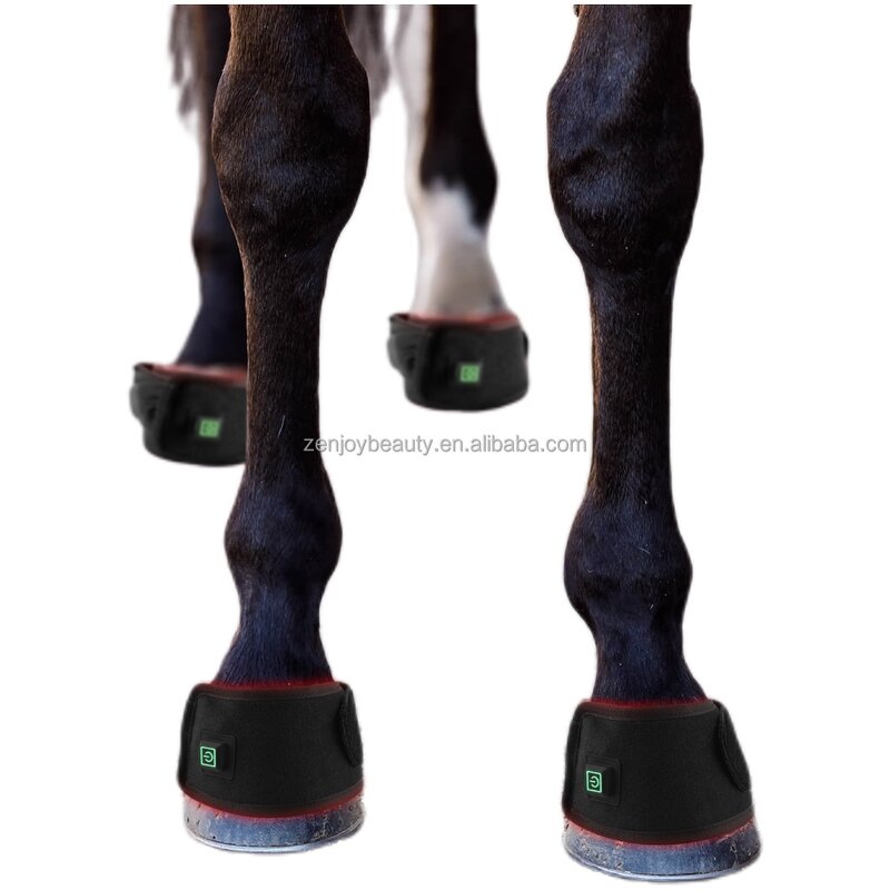Horse Red Light Therapy Device Manufacturer - Portable Phototherapy Near Infrared for Hock Hoof & Pain Relief