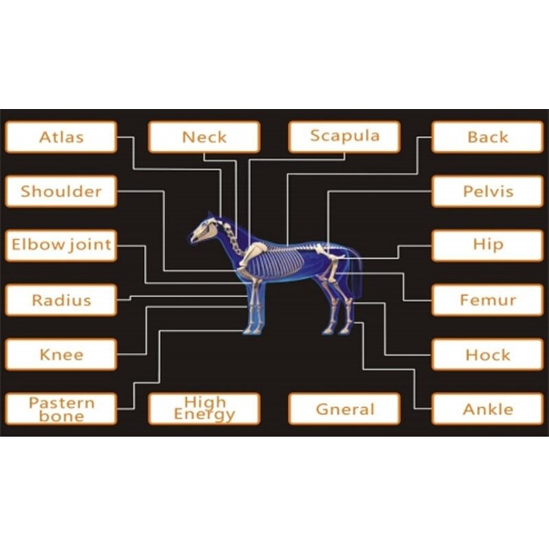 Spa Stand Trolley Cart Manufacturer - Good Quality Salon Trolley for Putting Beauty Machine