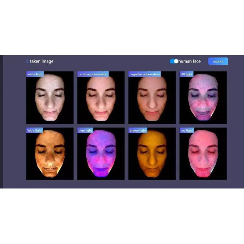 Body Composition Analyzer Manufacturer - Professional 310 Body Scanner Fitness Machine