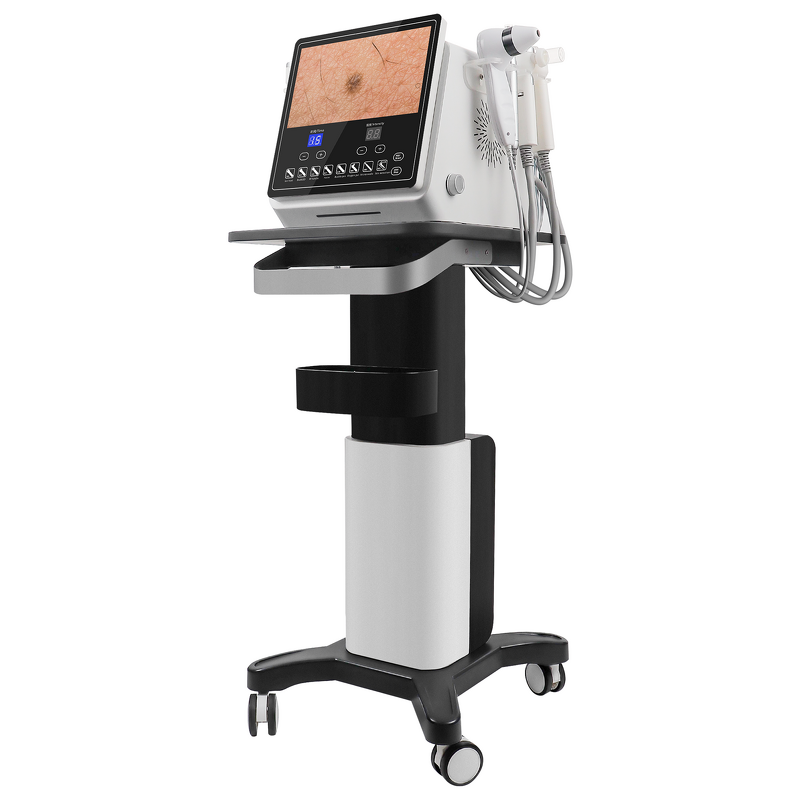 RF Face Care Machine Manufacturer - EMS Red Blue Light Multipolar Radio Frequency Beauty Device