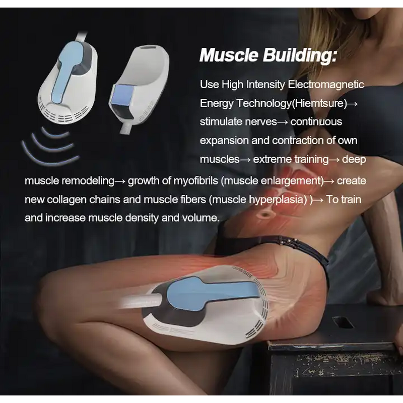 360 Cryolipolysis Slimming Machine Manufacturer - EMS RF 40K Cavitation Muscle Build Weight Loss Device