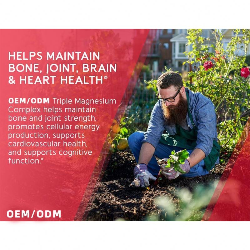 High Absorption Vegan Triple Magnesium Complex 300mg Magnesium Glycinate Malate Citrate Capsules for Muscles Nerves Function