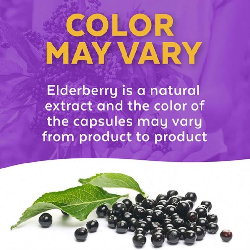 5 Immune Supporting Ingredients Elderberry Vitamin C D Zinc Ginger Capsules Supplement Daily Immune Support