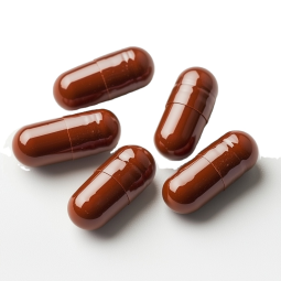 Pre-Pregnancy Tonic Manufacturer - OEM Halal Herbal Supplement Capsules