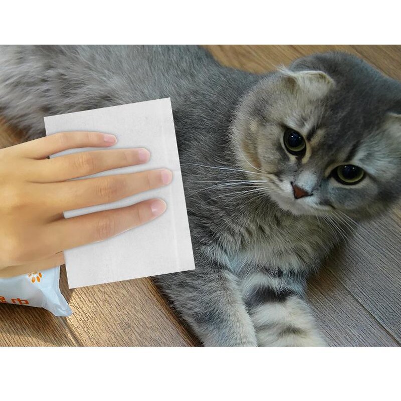 Pet Grooming Wipes Manufacturer - OEM Service Low Price Portable Soft Cat Dog Pet Cleaning Wet Tissues