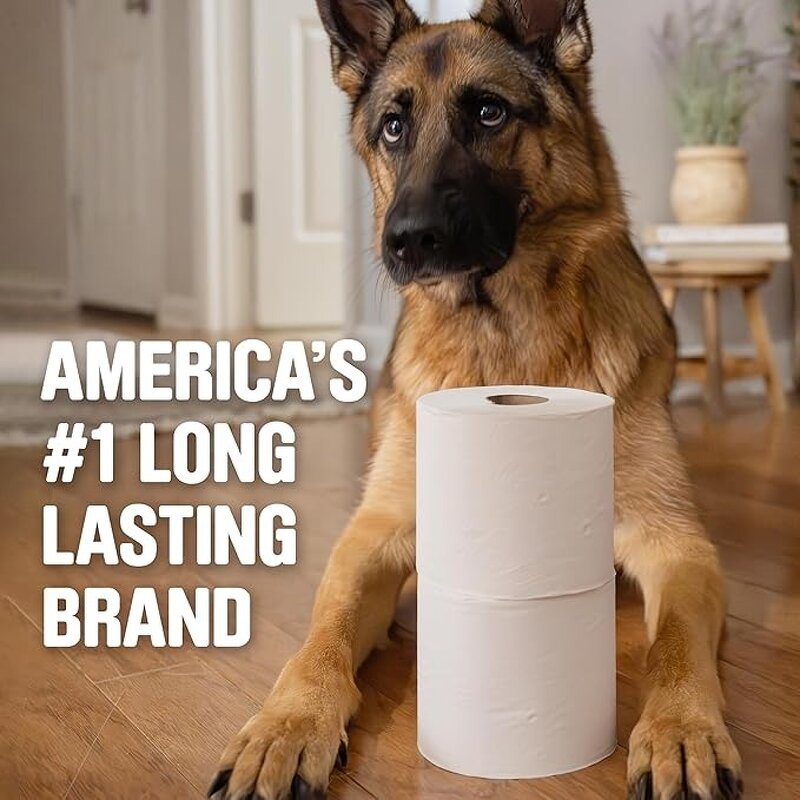 Toilet Paper Roll Manufacturer - Wholesale Bulk Cheap Direct Sell Customized Sanitary Toilet Tissue