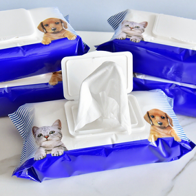 Pet Cleaning Wipes Manufacturer - Organic Dog Cat Biodegradable Natural Private Label Disposable OEM Pet Wipes
