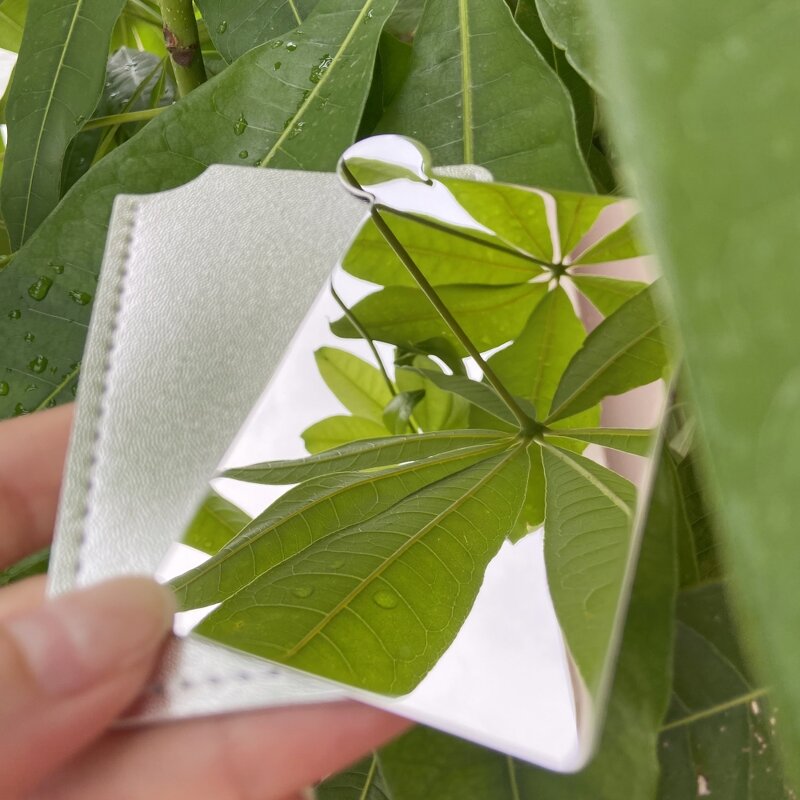 Pocket Makeup Mirror Manufacturer - Wholesale Stainless Steel Small Cute Cosmetic Rectangular Pocket Hand Mirror