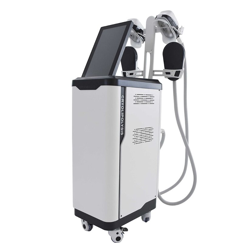 2 in 1 Slimming Machine Manufacturer - 4 Handles EMS Cryo Muscle Building Fat Freezing Body Sculpting Salon Device