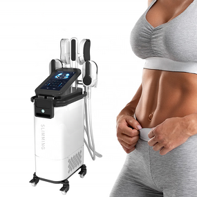 EMS Body Slimming Machine Manufacturer - Muscle Build Stimulator Weight Loss US/It/ZA Plug Type Salon Equipment