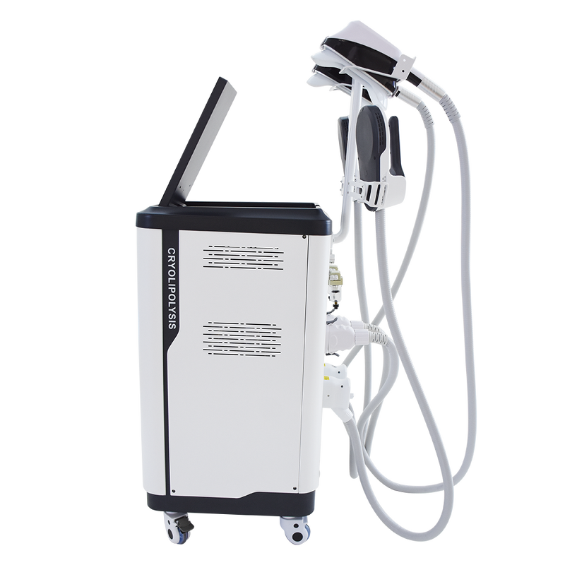 2 in 1 Slimming Machine Manufacturer - 4 Handles EMS Cryo Muscle Building Fat Freezing Body Sculpting Salon Device