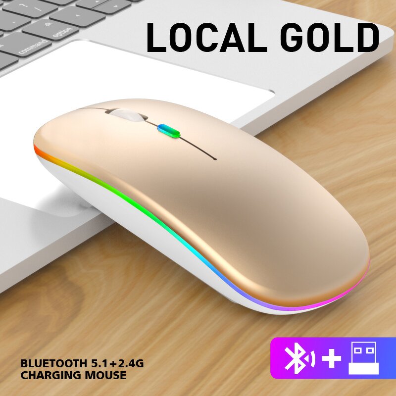 Custom Mini 3D Ergonomic LED Backlight Gaming Mouse Rechargeable BT5.0 & Silent 2.4GHz Wireless Mouse USB Interface for Laptop