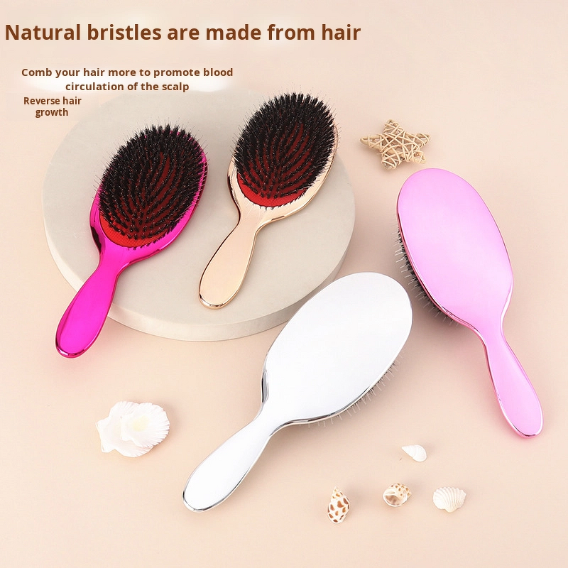 Hair Brush Manufacturer - Large Oval Boar Bristle Styling Scalp Massage Air Cushion