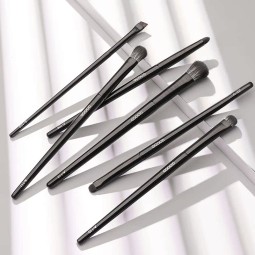 Makeup Brush Set Factory - 6pcs Eyeliner Eyeshadow Eyebrow Black Professional Custom Cosmetic Kit