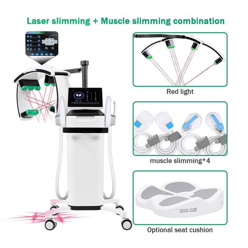10D Green Light Laser Machine Manufacturer - 532nm 360° Rotating Fat Burning Standing Body Slimming Tool