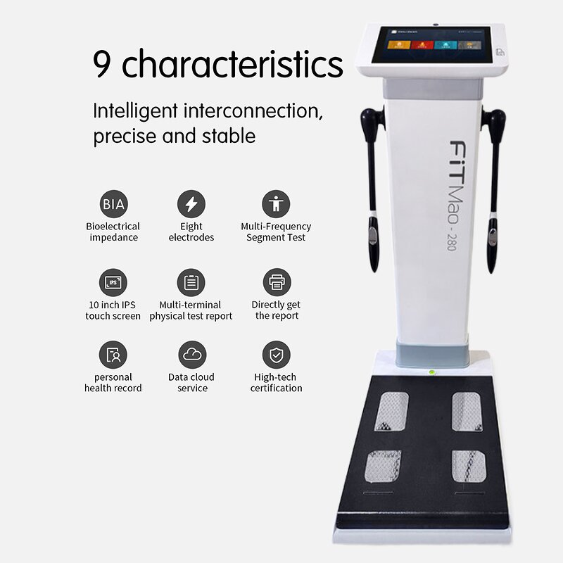 Body Composition Analyzer Manufacturer - Latest Gym Use Healthy Fat Measuring Weight Loss Analysis Tool