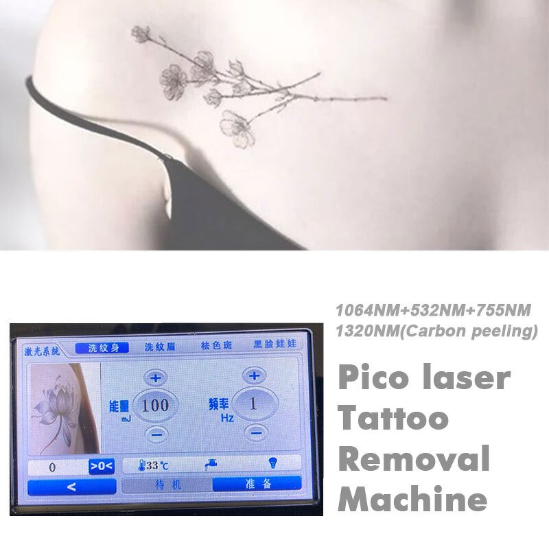Portable Nd Yag Picosecond Laser Manufacturer - 532/1064/755nm 1000W Tattoo Removal Face Armpit Beauty Tool