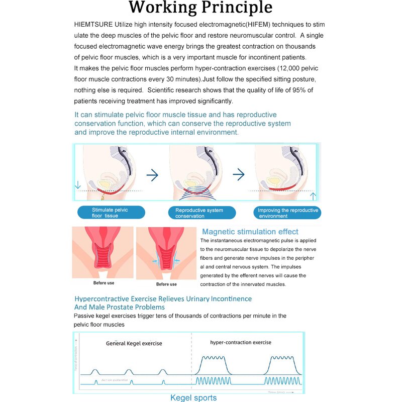Pelvic Floor Trainer Chair Manufacturer - 2025 LED Desktop Kegel Prostate Urinary Postpartum Recovery Device