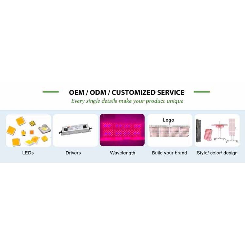 PDT Machine Manufacturer - 300W Portable with LED Red Light for Head Feet Neck Face