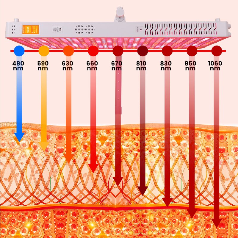 OEM/ODM RLPRO600 Light Panel Manufacturer - 9 Wavelengths Music 480-1060nm Infrared Therapy Tool