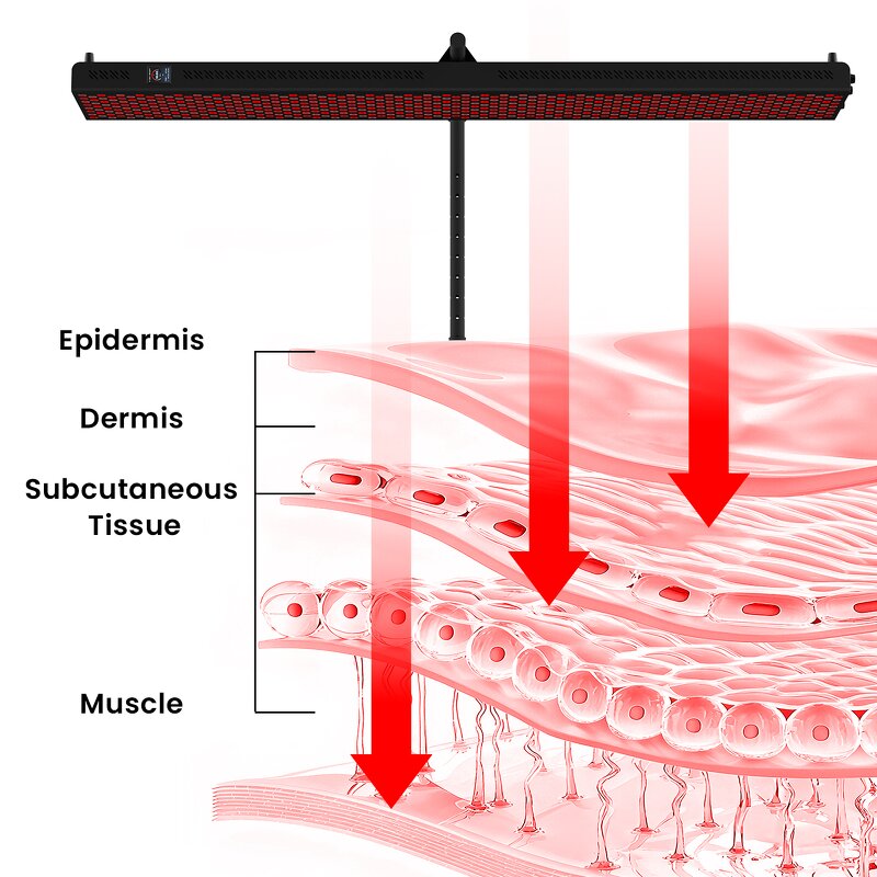 3000 Watt Infrared Red Light Panel Manufacturer - Best Quality 2026 Professional New PDT Led Tool