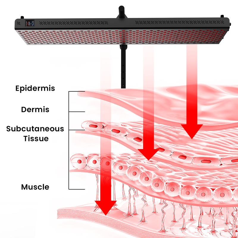 Touchscreen Red Light Therapy Panel Manufacturer - 660/850nm Red Near Infrared Light Therapy Tool