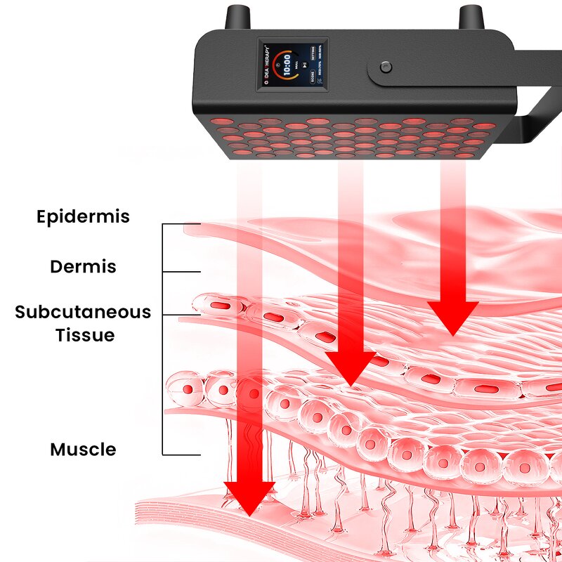 660/850nm Physio Therapy Lamp Manufacturer - Led Red Light Therapy Healthy PDT Infrared Device Tool