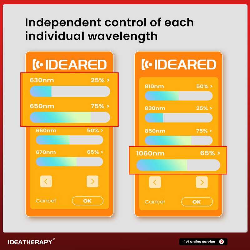 Full Body Led Light Therapy Panel Manufacturer - Newest 720pcs Dual Chips 9 Wavelengths Health Care Tool