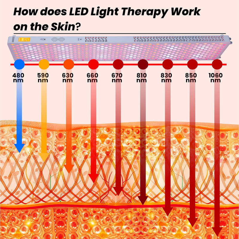 IDEATHERAPY RLPRO450max-X2 Panel Manufacturer - 9 Wavelengths High Irradiance Full Body Bed Therapy Tool