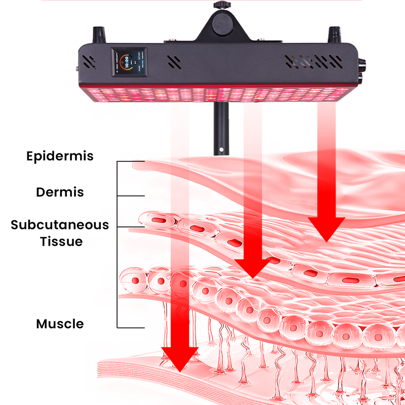 PDT Machine Led Therapy Device Manufacturer - 630-850nm ODM OEM Service Infrared Light Therapy Tool