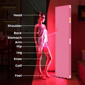 1060nm Infrared Light Therapy Device Manufacturer - High Quality Full Body Wellness Muscle Restoration Tool