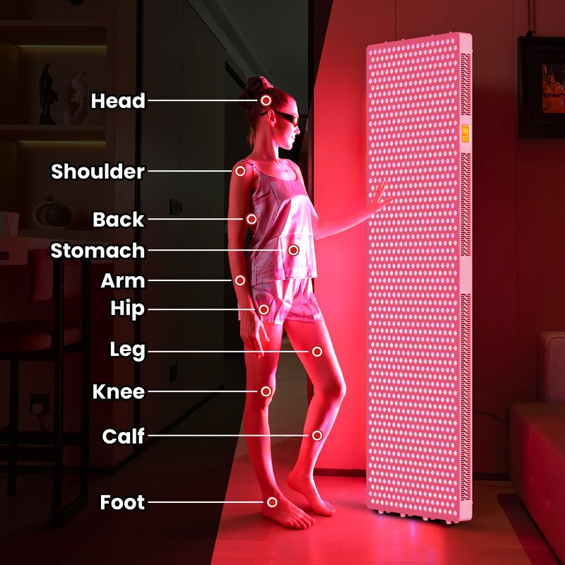 1060nm Infrared Light Therapy Device Manufacturer - High Quality Full Body Wellness Muscle Restoration Tool