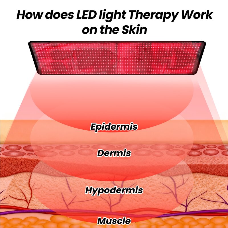 TLB1000-K Sauna Mat Manufacturer - UL Full Body 660/850nm Home Use Infrared Led Therapy Mat Tool