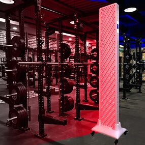 Portable Red Therapy Light Device RL12 Manufacturer - 27pcs 660/850nm 9.98W Home Spa Skin Care Tool