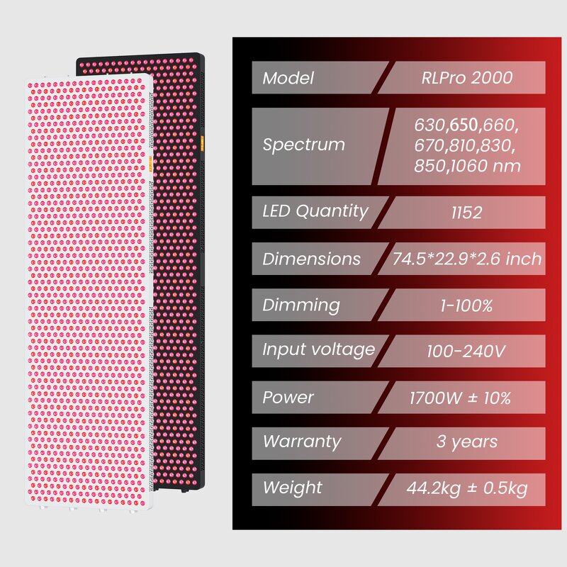 1060nm Infrared Light Therapy Device Manufacturer - High Quality Full Body Wellness Muscle Restoration Tool